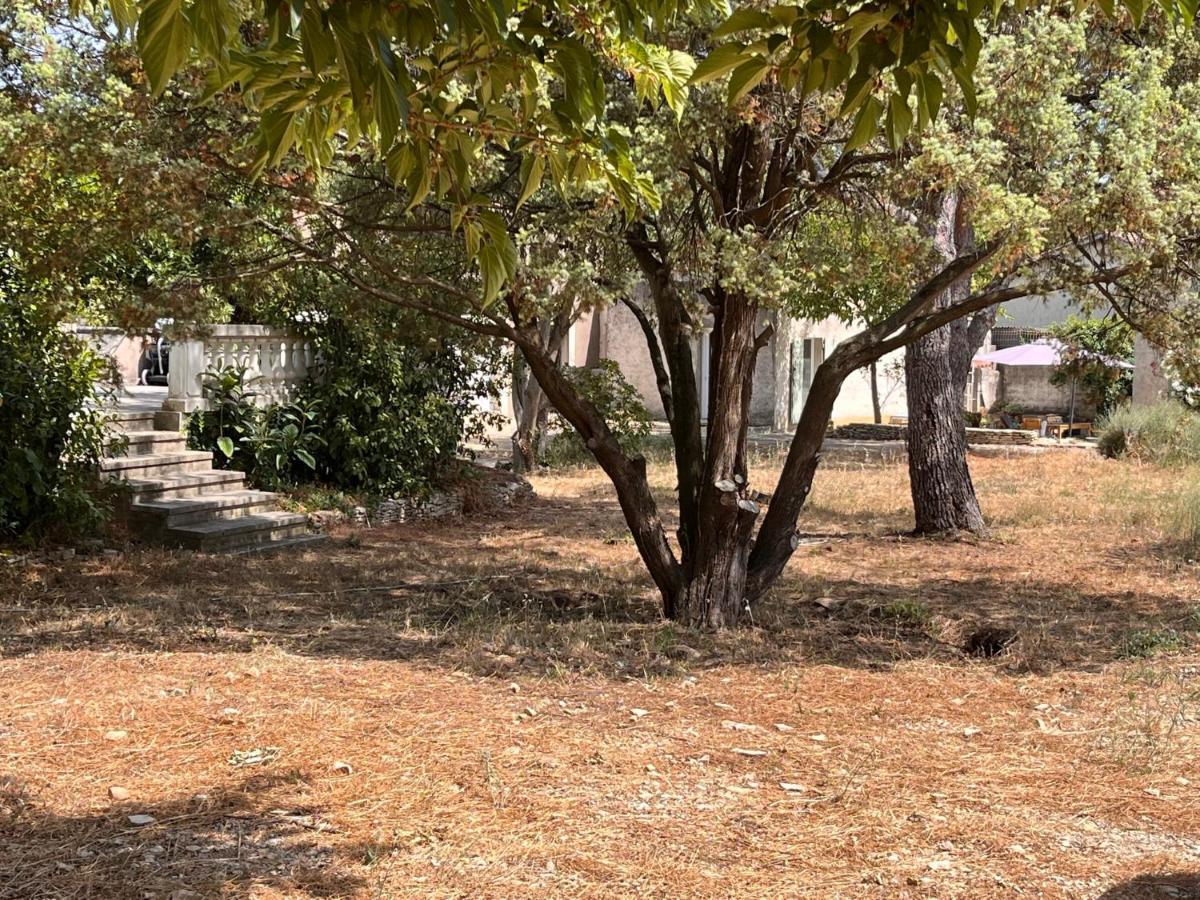 Maisonnette Independante Avec Jardin/Patio Nimes Bagian luar foto